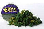 Hobby Round - Summer 3 Color Clump Foliage Mix GFS013 - STUFFHUNTER