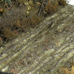 Terrains Wet Ground – 250ml (Acryl) von AK-Interactive AK8016 - STUFFHUNTER