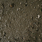 Terrains Wet Ground – 250ml (Acryl) von AK-Interactive AK8016 - STUFFHUNTER