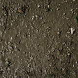 Terrains Wet Ground – 250ml (Acryl) von AK-Interactive AK8016 - STUFFHUNTER