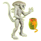 Alien Collection Xenomorph Drone Facehugger Egg 7inch 18cm Lanard - STUFFHUNTER