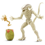 Alien Collection Xenomorph Drone Facehugger Egg 7inch 18cm Lanard - STUFFHUNTER