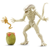Alien Collection Xenomorph Drone Facehugger Egg 7inch 18cm Lanard - STUFFHUNTER