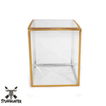 FUNKO POP Protector 4" Gold Edition [5 Stück] - STUFFHUNTER