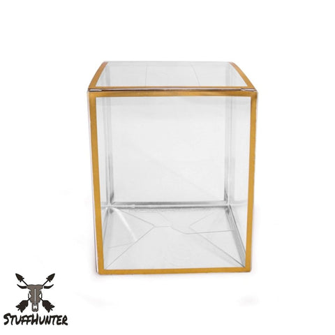 FUNKO POP Protector 4" Gold Edition [5 Stück] - STUFFHUNTER